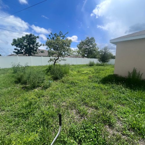 Imagen de WhatsApp 2025-11-05 a las 12.18.44_49c52a9d